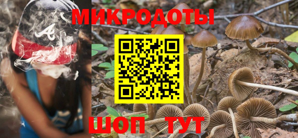 Псилоцибиновые грибы мицелий Приморско-Ахтарск