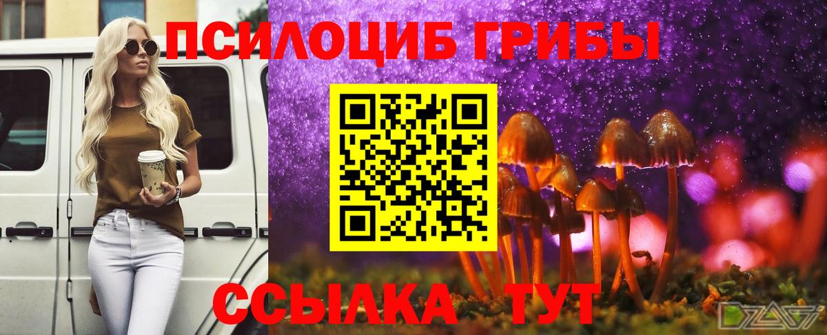 Приморско-Ахтарск  Галлюциногенные грибы прущие грибы  Вход с VPN  Псилоцибиновые грибы GOLDEN TEACHER 